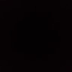 Meet your Posher, Bailee